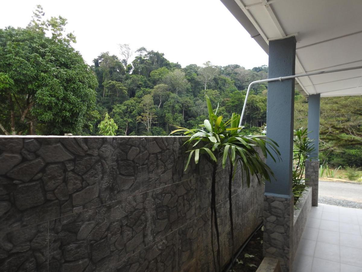 Tebing Guest House Taman Negara Malaysia Куала Тахан Екстериор снимка